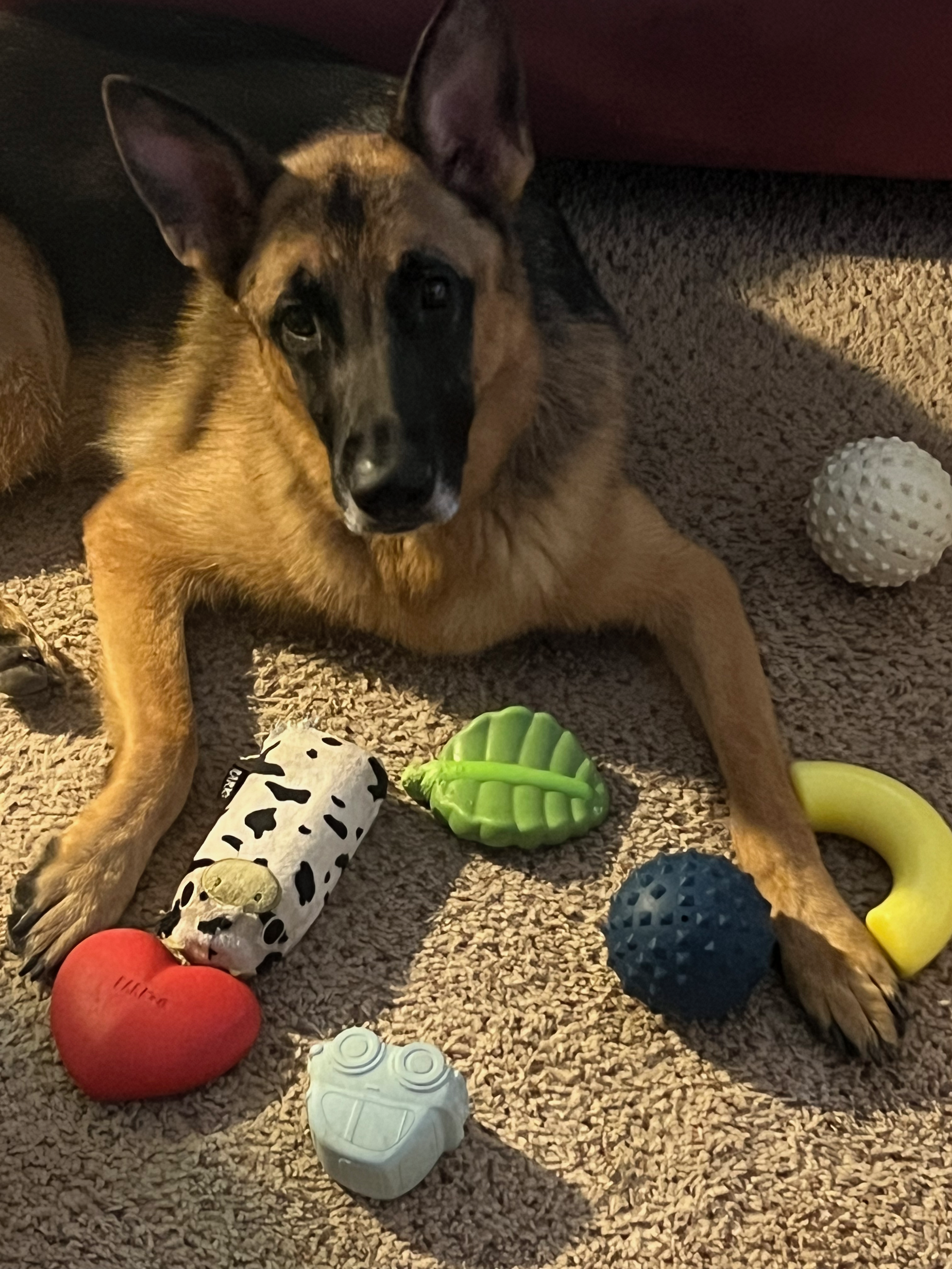 Maverick and all his toys